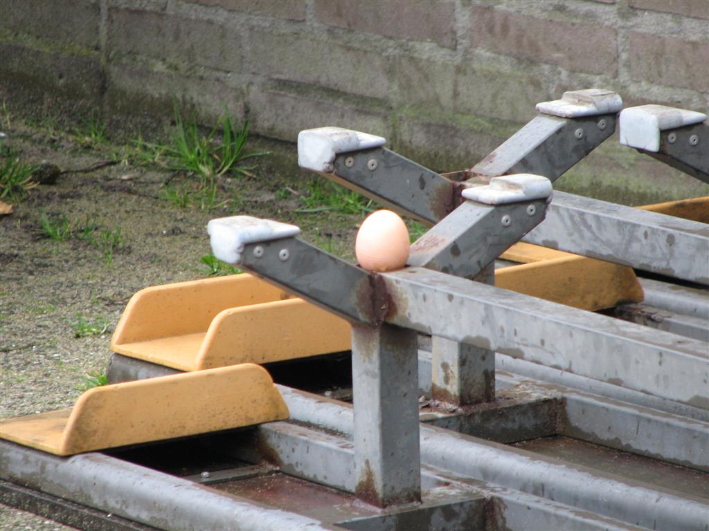 2008_03_22_paaseieren (112).jpg